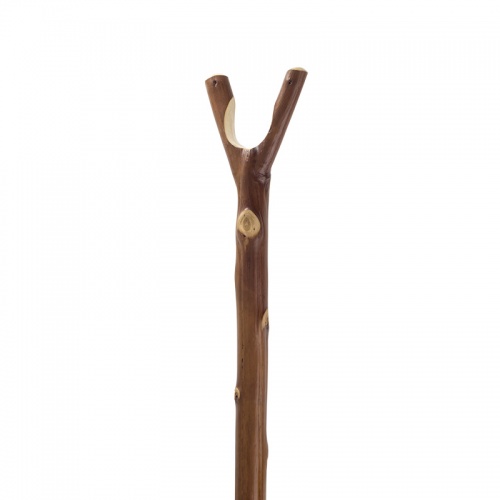 Walking Sticks