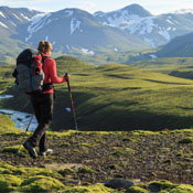 Hiking Insoles