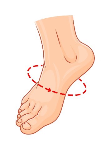 Foot Measurement Guide