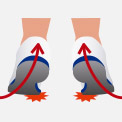 What is Supination?