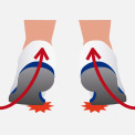 Supination vs. Pronation: Rolling with the Motion