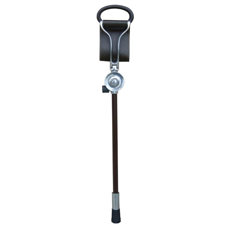 Walking Stick Plus Seat