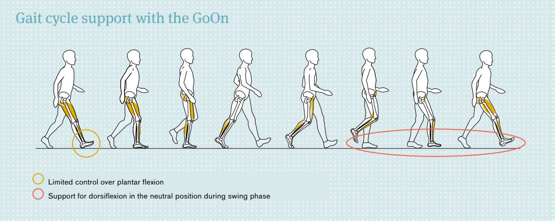 Gait Cycle Support with the GoOn Gait Cycle Support Diagram