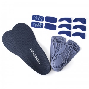 Vectorthotic Insoles with Modifications